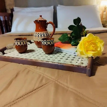 Thelya - Stone House Apollona